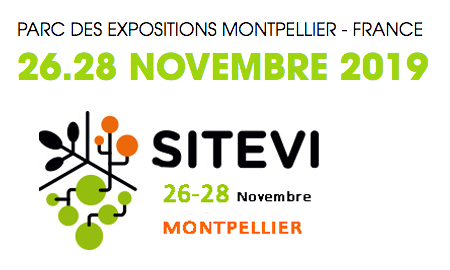 PRESENCE SITEVI 2019